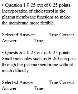 Quiz 4